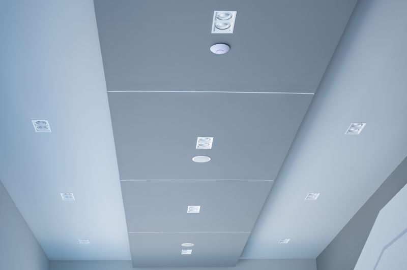 Industrial Ceiling Painting